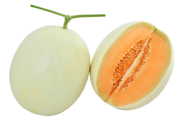 melonページ☆ Orange Melody-Known-You Seed